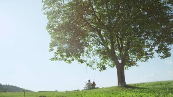 スローモーション 若いカップルは 夏の日に陽気にスイング 暖かい春を楽しむガールフレンドとボーイフレンドは 大きな木の下で揺れる カメラがズームインするにつれて 男は揺れながら横を向く — ストック動画