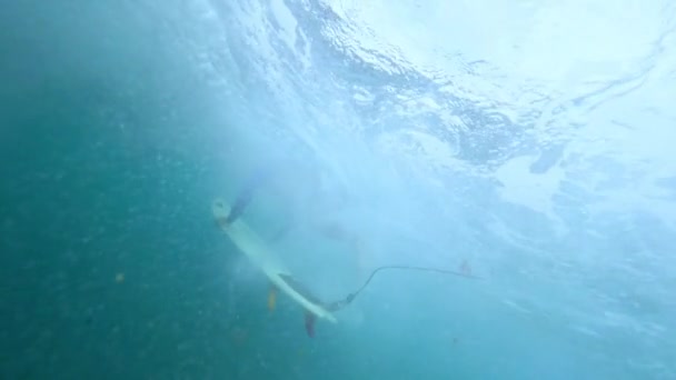 슬로우 파도에서 위험한 다이빙을하고 극단적 보드에 바다에서 잠수복에서 활동적인 휴가에 — 비디오