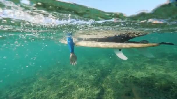 Half Half Onderwater Slow Motion Onherkenbaar Surfer Peddelen Surfplank Helder — Stockvideo