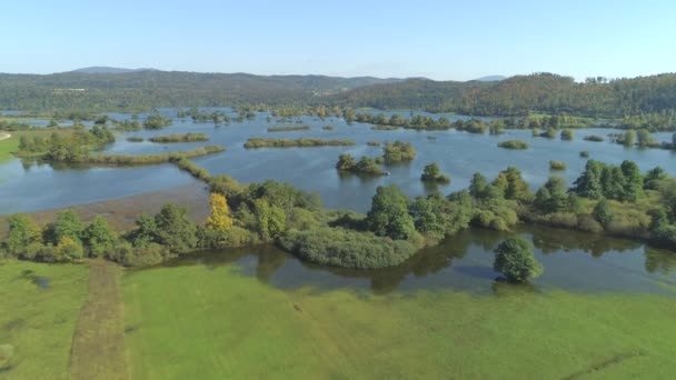 Aerial Flying Flooded Fields Heavy Rainfall Sunny Autumn Day Abundant — Stock Video