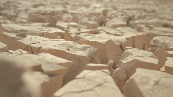 Macro Profondeur Domaine Champ Argile Rugueux Fissuré Sous Une Chaleur — Video