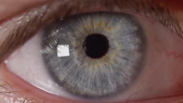 Slow Motion Macro Людина Блискучими Блакитними Очима Дивиться Відстань Відбиваюче — стокове відео