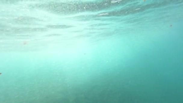 水中のスローモーション 海面のようなガラスの上に形成される波 波が壊れて水中に形成される多数の気泡を持つ明るい青い海 ロボスの純粋で魅惑的な自然 — ストック動画