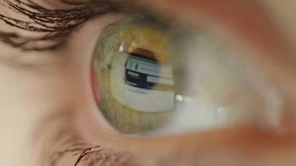 2017年6月4日 美国纽约 亚马逊网页在互联网上反映无法辨认的女人的眼表面 绿眼女性使用亚马逊网上购物 浏览互联网零售商 — 图库视频影像