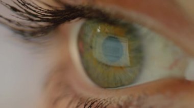 Makro Yakın Çekim: Bilgisayarda bir kelime metnini okurken göz kırpma. Monitörde görülen görüntüyü yansıtan göz küresi yüzeyi. Ofiste uzun bir günün ardından pc ekranına bakan gergin gözler.