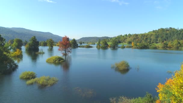 Aerial Colinas Verdes Que Miran Sobre Árboles Inundados Prados Rurales — Vídeos de Stock