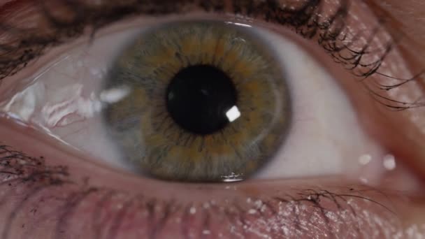スローモーションクローズアップ 左右に見えるかなり緑色の目の詳細 周りを見回している女性の目の瞳が収縮する 目の読書 瞳孔と虹彩のマクロショットが大きく 小さくなっています — ストック動画