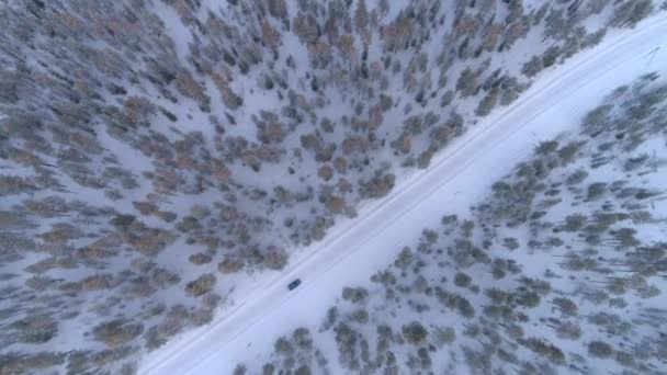 空中顶部蓝色汽车驾驶在湿滑的雪道上经过郁郁葱葱的绿色结霜的云杉树在惊人的茂密森林 在芬兰拉普兰 汽车穿越风景如画的冬季景观的人们 — 图库视频影像