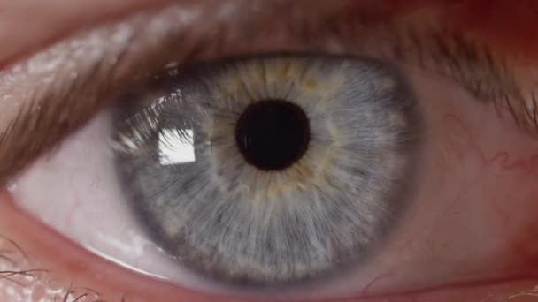 Makro Zeitlupe Die Pupille Eines Unbekannten Blauäugigen Mannes Der Sich — Stockvideo