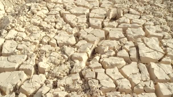 Close Aftermath Devastating Natural Disaster Leaves Ecosystem Lifeless Plants Animals — Stock Video