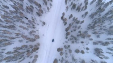 AERIAL TOP DOWN: Blue car driving on slippery snowy road through dense frosty spruce forest in Lapland wilderness. People in auto on road trip across icy Finland landscape dotted with white pine trees