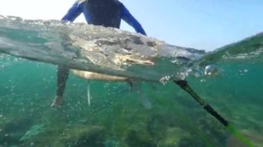 Sualtı Yavaş Hareket: Lobos güneşli bir günde berrak mavi okyanusta sörf tahtasıüzerinde oturan pro erkek sörfçü. Sörf meraklısı suda dinleniyor. Adrenalin bağımlıları için eğlenceli su sporu tatil