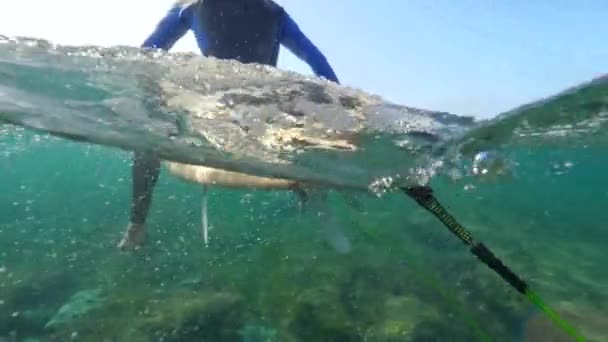 Underwater Slow Motion Surfista Professionista Seduto Tavola Surf Nel Limpido — Video Stock