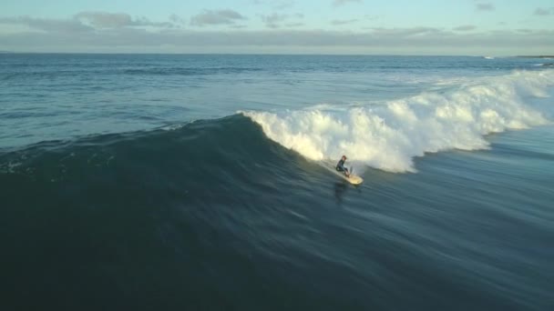 空中慢动作渴望冲浪者在加那利群岛的蓝色海洋中第一件事就是在早上乘风破浪 冲浪者在富埃特文图拉享受他的冒险假期 — 图库视频影像