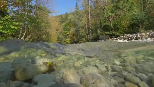 Half Half Río Helado Montaña Que Fluye Través Del Bosque — Vídeo de stock