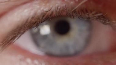 Makro Dof: Kameraya bakan canlı renkli mavi göz detayı. İnsanın kirpiklerinden mavi göze yeniden odaklanmak. İnsanın kameraya baktığı, yanıp sönmediğini gösteren makro fotoğrafı. Unflinching göz bakan.