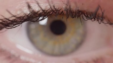 Slow Motion Close Up Macro: Maskara ile kaplı güzel açık yeşil göz. Zifiri karanlık gözbebeği, ışık miktarı değiştikçe minimal olarak genişletir. Büyüleyici bir kadın iris makro çekim.
