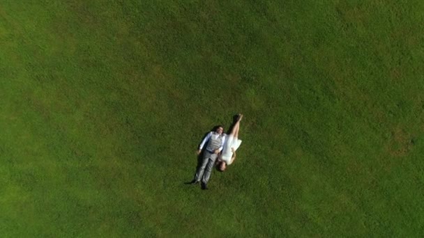 空中トップダウン 夏の日に草の上に横たわっている幸せな若いカップル 結婚式の後 日当たりの良い公園でリラックスした男女の新婚夫婦 若い男と妊娠中の女性が横たわって手をつないで 赤ちゃんを期待して — ストック動画