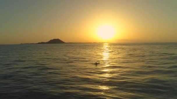 Aerial Pro Surfer Peddelen Zijn Surfplank Het Midden Van Zon — Stockvideo