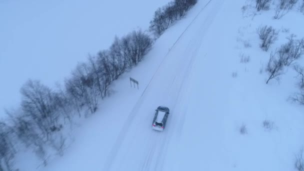 Luftaufnahmen Aus Der Nähe Fliegen Über Autos Die Auf Rutschiger — Stockvideo