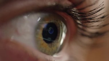 Close Up, Uzun göz kirpikleri ile Makro Tanınmayan kadın dünya haritası bakarak. Bilgisayar ekranında oynayan dönen bir küre, kızın gözünün parlak yüzeyine büyük bir detayla yansıtılır.