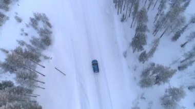 AERIAL TOP DOWN: Blue car driving on slippery snowy road through dense frosty spruce forest in Lapland wilderness. People in auto on road trip across icy Finland landscape dotted with white pine trees