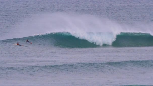 Slow Motion Easygoing Surferzy Wiosłujący Kierunku Linii Pochmurny Dzień Nierozpoznani — Wideo stockowe