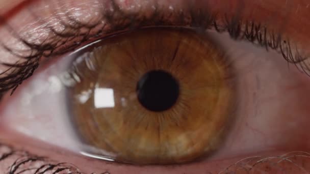 Slow Motion Chiudi Donna Irriconoscibile Con Gli Occhi Marroni Guarda — Video Stock