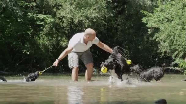 Slow Motion Leuke Mannelijke Eigenaar Spelen Een Verfrissende Rivier Met — Stockvideo