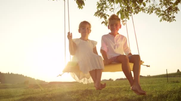 Slow Motion Close Young Brother Sister Swinging Swing Tree Warm — Stock Video