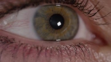 Slow Motion Close Up: Kadın göz göz bebeği o etrafa bakarken ve göz parıltısı göz bebeği vurur daralma. Bir göz okuma makro çekim, göz bebeği ve iris genişleyen ve parlak güneşli odada küçülen.