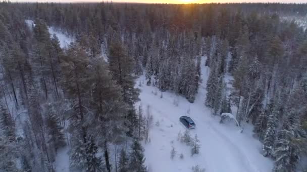 Anten Altın Kış Gün Doğumunda Çam Ormanındaki Boş Karlı Yolda — Stok video