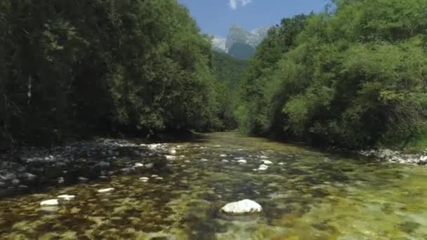 Movimiento Lento Río Balbuceando Curvándose Través Vegetación Girando Sobre Suelo — Vídeo de stock