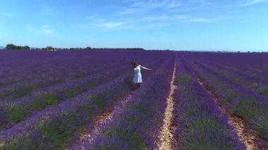 Hava Düşük Açı: Genç kadın lavanta kokulu alanda gezinme. Kadın turist gelişen leylak lavandula bitkilerhayran. Açık yaz gününde çarpıcı Fransız çiçek lenme kırsal.