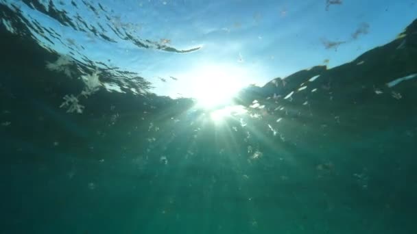 Підводний Повільний Рух Водний Світ Блищали Від Сонячних Променів Проникаючи — стокове відео