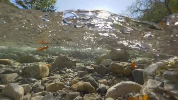 Slow Motion Half Onderwater Fall Sun Schijnt Fel Kille Berg — Stockvideo