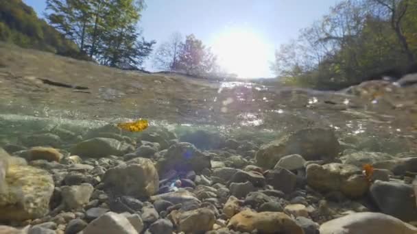 Zeitlupe Halb Unter Wasser Strahlende Sonnenstrahlen Auf Klares Flusswasser Herab — Stockvideo