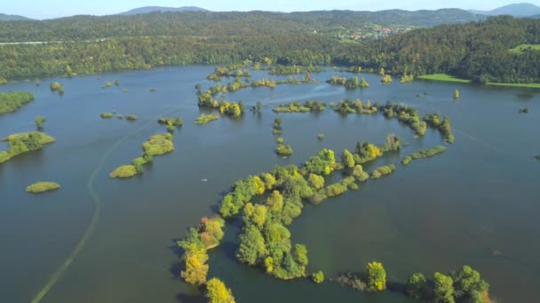 Letecká Anténa Létající Nad Neidentifikovatelnými Lidmi Přeletí Přes Zaplavená Pole — Stock video