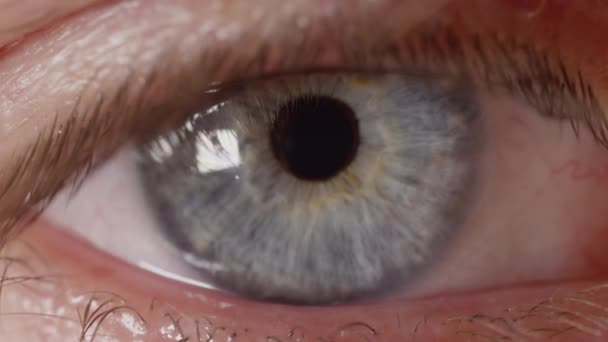 几乎一动不动明亮的蓝眼睛看着相机 从人类的蓝眼睑和睫毛重新聚焦 人看仍然对着相机的微距拍摄 细节从眼睛到眼睑调整 — 图库视频影像
