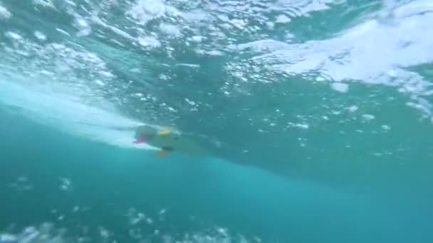 SOUS-EAU, MOTION LENT : Paysage balnéaire intimidant de vagues portant violemment une planche de surf. Puissant océan gonfler s'écraser avec force tandis que pro surfboarder le sculpte avec facilité. Paysages sous-marins frais .