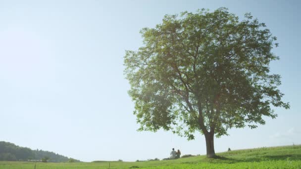 Low Motion Casal Jovem Irreconhecível Balançando Balanço Sob Árvore Verde — Vídeo de Stock
