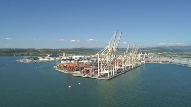 摄像机在国际海洋港口的大型工业码头上空盘旋 白鹤仍然站在一个大港口 等待更多的集装箱到达 五颜六色的容器堆叠 — 图库视频影像