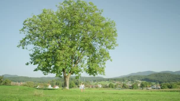 Moción Lenta Pareja Joven Feliz Balanceándose Bajo Árbol Verde Día — Vídeo de stock