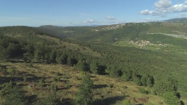 Aerial Vliegen Boven Karstlandschap Zonnige Zomerdag Groene Bos Rondom Landelijk — Stockvideo