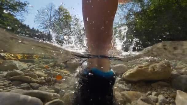 HALF-HALF, FERMER : L'eau claire de la rivière devient trouble après que la femme entre dans un ruisseau rocheux. Randonneuse méconnaissable portant des baskets de randonnée marchant en eau peu profonde et faisant face à la caméra .