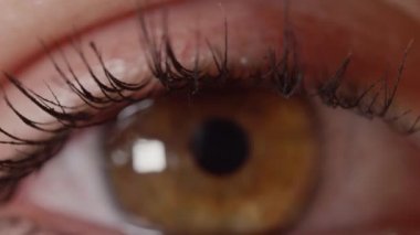 Makro Dof: Maskara giyen kız güzel kehribar gözleri yanıp sönmeden bakar. Kamera, odağı uzun siyah kirpiklerden renkli kahverengi irislere kaydırır. Kahverengi gözlü tanınmayan kadın geleceğe bakıyor.