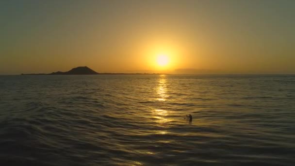 シャカサインを作る完璧な波のために海の真ん中で待っているローナーサーファー カナリア諸島の上に魅惑的な黄金の日の出 大西洋の極端なスポーツ愛好家の楽園 — ストック動画