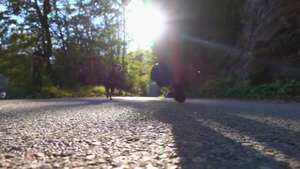 Zeitlupe Großaufnahme Unerkennbares Mädchen Schwarzen Turnschuhen Läuft Mit Kleinem Hund — Stockvideo