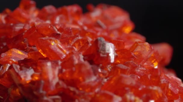 매크로 클로즈업 진홍색 다이아몬드처럼 반짝이는 값비싼 보석을 가공하기 전통적인 추기경 — 비디오
