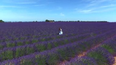 Hava Düşük Açı: Genç kadın lavanta kokulu alanda gezinme. Kadın turist gelişen lavandula bitkileri hayran. Leylak sıraları arasında kaygısız bir yürüyüş yaz elbise kız.
